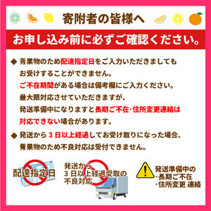 【先行予約】紅まどんな JAえひめ中央 正規化粧箱入 選べる 等級 無地 JA 紅まどんな 紅マドンナ まどんな マドンナ みかん ミカン 蜜柑 果物 くだもの フルーツ 柑橘 柑橘類 かんきつ 愛媛