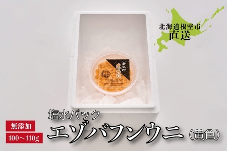 エゾバフンウニ(黄色)塩水パック100~110g×1パック C-22001
