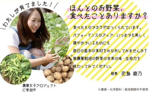 ご家族に安心安全なお野菜を！小さな家族が始めた野菜栽培。（農薬・化学肥料：栽培期間中不使用）