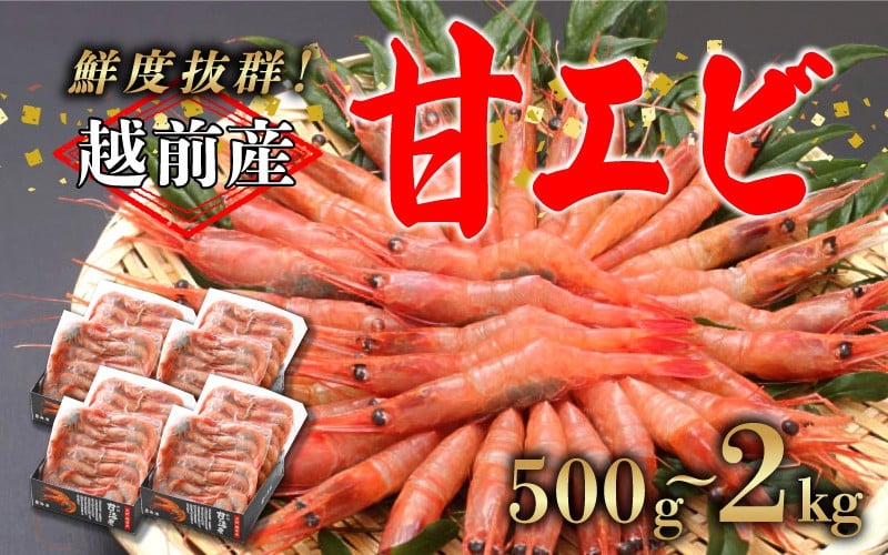
            【選べる容量！】【小分け】越前産冷凍甘えび 500g / 1.0kg / 1.5kg / 2.0kg [C-11012] / 甘えび 甘エビ えび 甘エビ 海老 海鮮 刺身 冷凍  福井県 鯖江市
          
