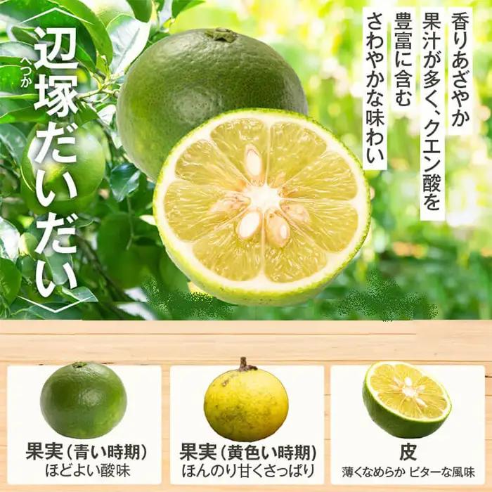 辺塚だいだい 青果 10kg 鹿児島 国産 橙 柑橘 果物 フルーツ【NPO法人 陸の宝島・岸良】A20008