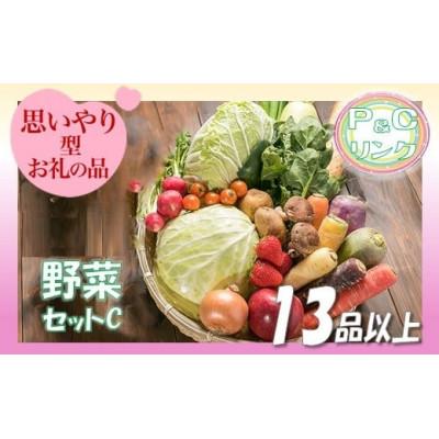 ふるさと納税 北上市 野菜セットC　13品 以上