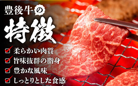 おおいた豊後牛 赤身モモ 焼肉用 1kg(500g×2P) 日田市 / 株式会社MEAT PLUS　牛 うし 黒毛和牛 和牛 豊後牛[AREI020]