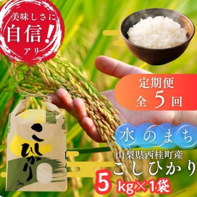 ふるさと納税 西桂町 【毎月定期便】山梨県西桂町産 富士山麓「水のまち」のこしひかり精米 5kg×1袋全5回