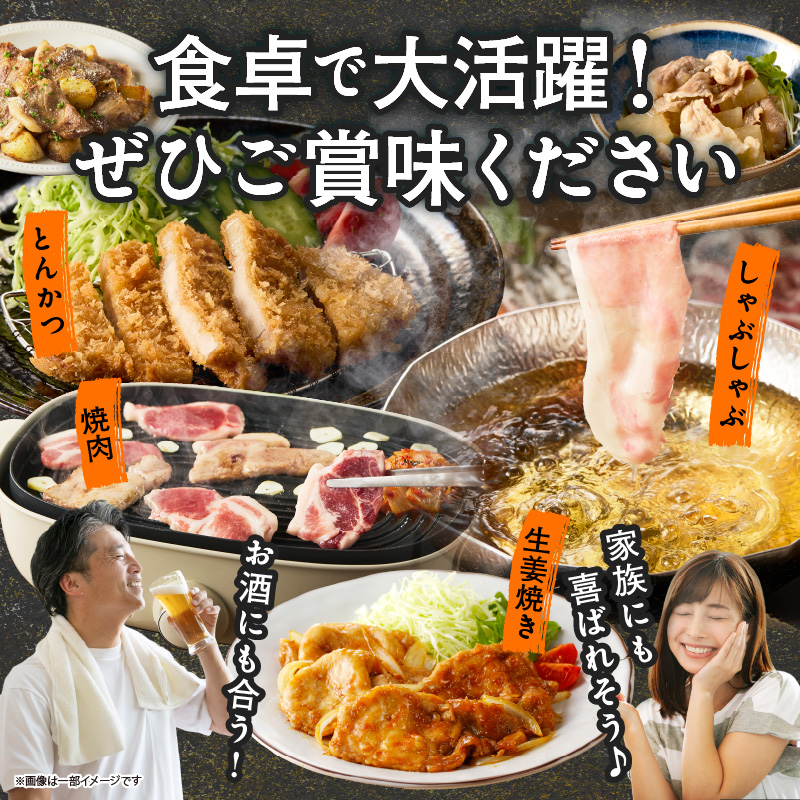 宮崎県産豚肉6種盛り合わせセット(合計4.1kg)_T030-2045【肉 豚 豚肉 おかず 国産 人気 ギフト 食品 お肉 焼き肉 BBQ お土産 贈り物 送料無料 プレゼント】