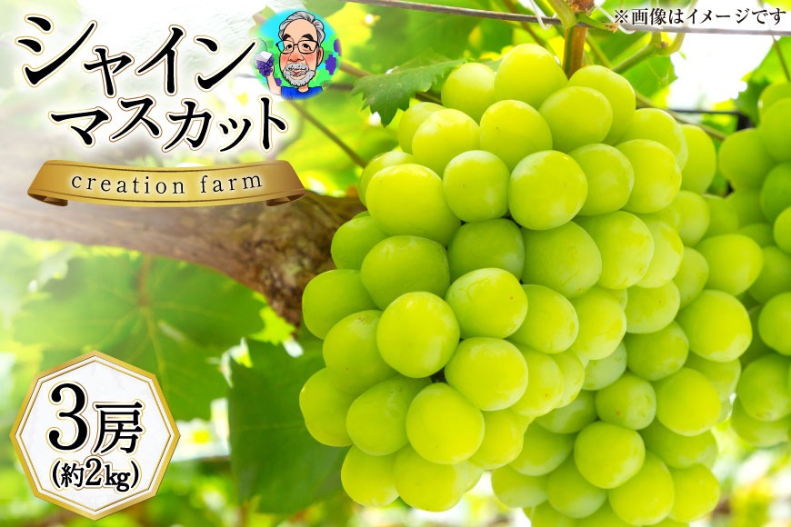 山梨県産 高級シャインマスカット 3房（約2kg）[株式会社Creation farm 山梨県 韮崎市 20743003] シャインマスカット シャイン マスカット ぶどう ブドウ 葡萄 フルーツ 果物 くだもの 山梨