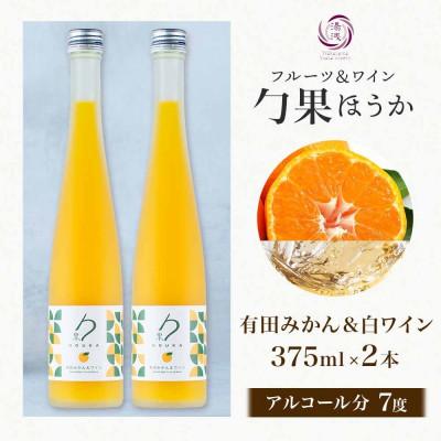 ふるさと納税 湯浅町 ワインカクテル 勹果 ほうか 有田みかん&白ワイン 7度 375ml 2本 湯浅ワイナリー |  | 03