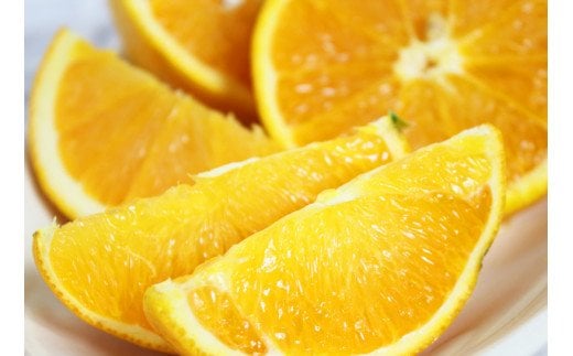 【国産】希少バレンシアオレンジ　約5kg　【2025年6月下旬頃～7月中旬ごろ順次発送予定】