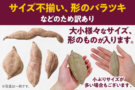 訳あり 熟成 紅はるか 5kg さつまいも 芋 サツマイモ 土付き サイズ色々 サイズ不揃い 九州産 焼き芋 やきいも 甘い デザート スイートポテト 生芋 おやつ デザート 野菜 いも【2024年1