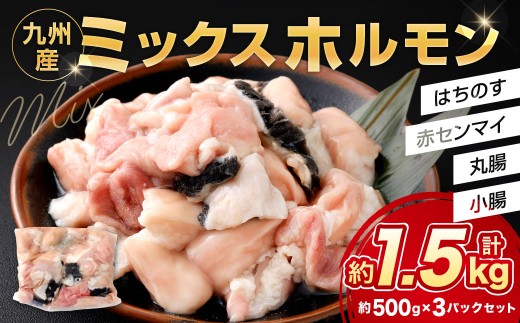 ミックスホルモン 約1.5kg（約500g×3パック）ホルモン 九州産 ミックス 丸腸 赤センマイ はちのす 小腸 冷凍 福岡県 北九州市