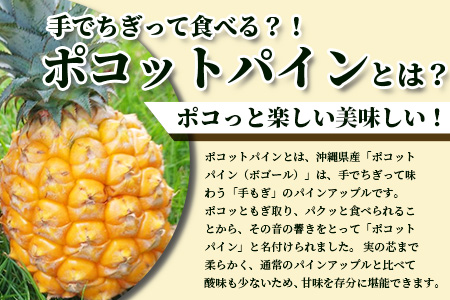 【先行受付】希少！濃厚！「枝先完熟・てのひらパイン」ピーチ・ポコット食べ比べセット　2025年4月～7月順次発送 OI-4