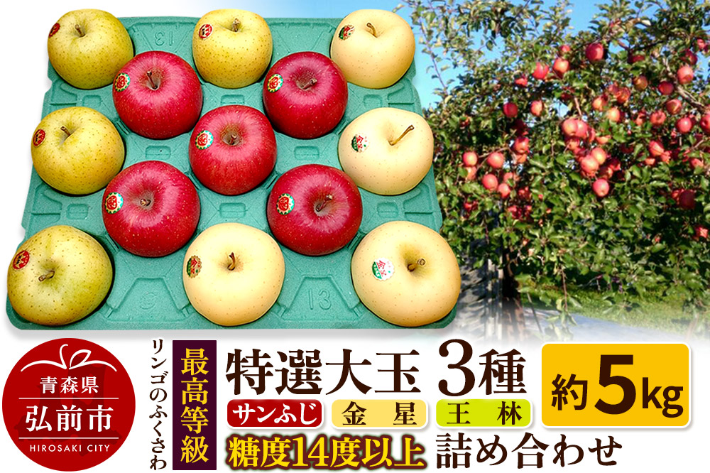 りんご 最高等級 特選大玉 3種詰め合わせ 約5kg（サンふじ・金星・王林）糖度14度以上