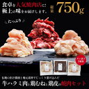 【ふるさと納税】【BBQ・焼肉用】印南町オリジナル熟成タレ漬けBBQセット　お試しサイズ750g | お肉 にく 食品 和歌山県産 人気 おすすめ 送料無料 ギフト セット