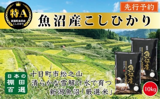 
            【令和７年産新米予約】【食味鑑定士厳選】　日本の棚田百選　新潟県十日町（魚沼）産　コシヒカリ10kg(5kg×2)
          