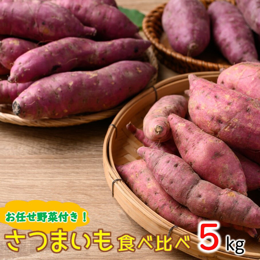【ふるさと納税】【10月下旬～翌年1月中旬発送】上田農園のさつまいも食べ比べセット5kgとユニーク野菜付き 安納芋 紫いも 焼いも スイートポテト 送料無料