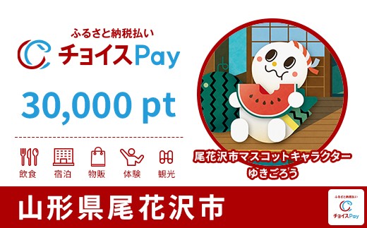 
            尾花沢市チョイスPay 30,000pt【会員限定のお礼の品】
          