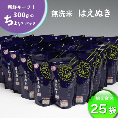 ふるさと納税 庄内町 山形県産 ちょいまんま はえぬき無洗米 2合(300g)×25袋セット ブランド米 無洗米 白米