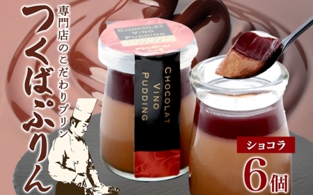 つくばぷりん ショコラ・ヴィノ・プディング ６個 プリン ぷりん ショコラ チョコレート 牛乳 ミルク 卵 赤ワイン スイーツ 贅沢 洋菓子 おやつ 冷菓 ご褒美 デザート 人気 グルメ お取り寄せ ギフト プレゼント 贈り物 冷蔵 送料無料 ふじ屋 茨城県 桜川市 [EW012sa]