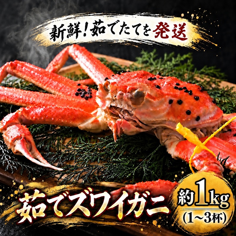 茹で ズワイガニ 約1kg (1～3杯) セット 詰め合わせ 脚折れ含む カニ 蟹 かに 茹でカニ ずわい蟹 ずわいがに カニセット 魚介 魚介類 海鮮 海鮮セット 福井 福井県 若狭町