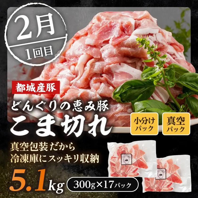 【☆セレクト定期便☆】豚肉好きさんへの定期便(3ヶ月)2月・4月・6月お届け≪2027年お届け≫〔T52-3-S003〕_(都城市) 宮崎県 豚肉 どんぐりの恵み豚 小間 とんかつ しゃぶしゃぶ 炒め