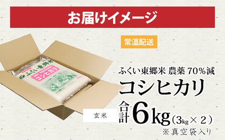 【玄米】令和5年産 ふくい東郷米 特別栽培米 農薬70％減  コシヒカリ 3kg×2袋 [A-020008_02]