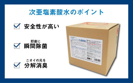 【次亜塩素酸水】ハセッパー水5L容器ノズル付き300ml空ボトル付【株式会社 地の塩社】[ZAN005]