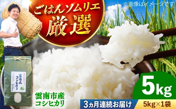 
                  ＜令和8年産 新米 先行予約受付中＞【全3回定期便】新米コシヒカリ5kg【2026年10月以降発送】島根県雲南市/有限会社藤本米穀店 [AIDB108-r8]｜新米 米 お米 島根米 白米 コシヒカリ こめ 島根県産米 コシヒカリ 5キロ 5kg
                