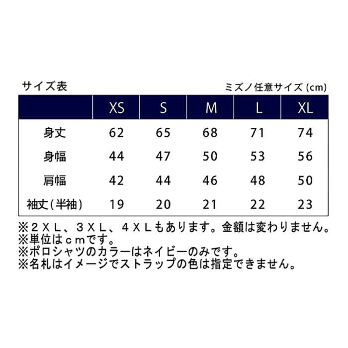 【突撃！南島原情報局 神回 公認！】世界遺産 ポロシャツ 1枚 XSサイズ / 南島原市 / スポーツショップ ナンスポ [SDI001]_イメージ2