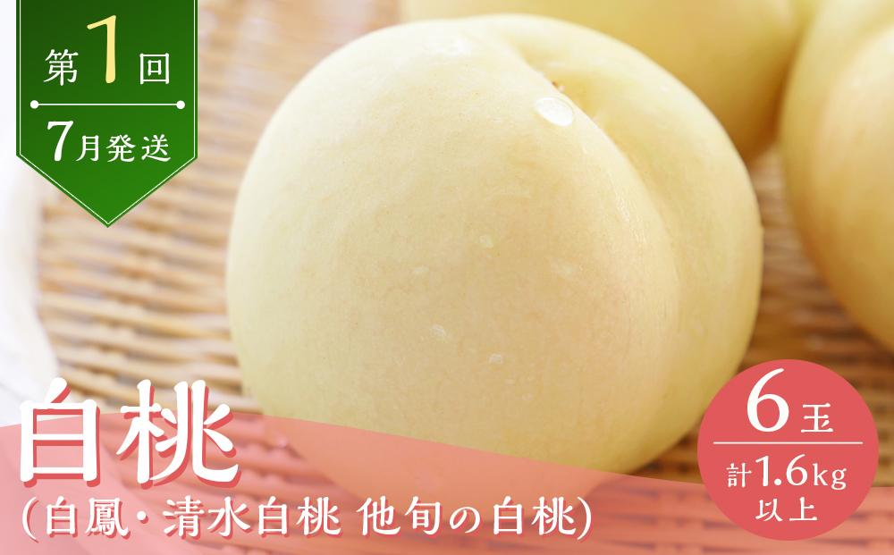 桃 2024年 先行予約 岡山の旬の桃 定期便 3回コース もも モモ 岡山県産 国産 果物 ギフト