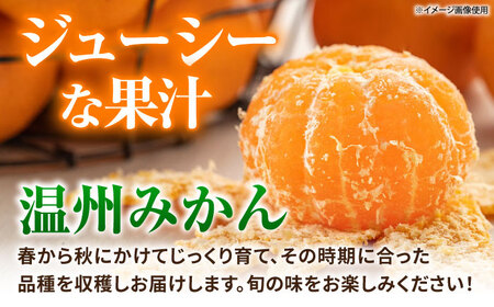 【先行予約】【全4回定期便】 数量限定 温州みかん 5kg 極早生 早生 中生 晩生 みかん 【池田農園】[ZEX010]