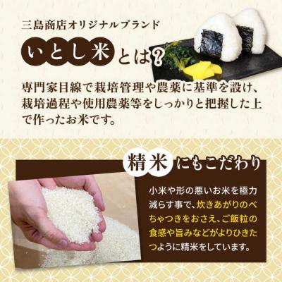 ふるさと納税 糸島市 いとし米 厳選ひのひかり20kg (糸島産) 糸島市/三島商店 [AIM077] |  | 02