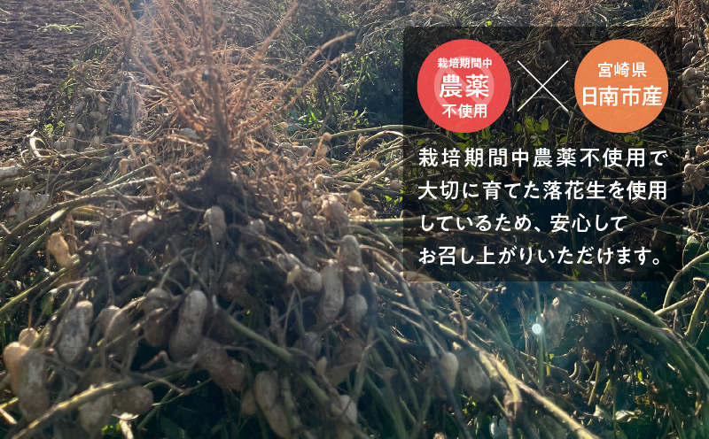 先行予約 日南市産 『ピーナッツバター（スムース）』120g×1個 数量限定 加工品 食品 調味料 国産 落花生 パン クリーミー 粒々感 つぶつぶ 炭火焙煎 手作り トッピング 選べる おすすめ ギ
