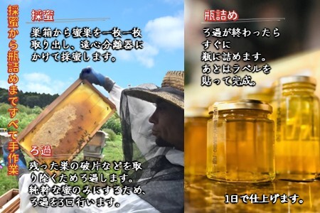 国産純粋生はちみつ ハニービーズコレクション“しろいの季節” 170g 純粋はちみつ 非加熱 添加物なし 百花蜜 単花蜜 国産はちみつ 生はちみつ100% 美味しい