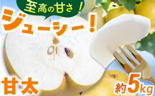 【★先行予約★ 2026年9月中旬より発送】梨（甘太）約5kg なし ナシ 梨 甘太 果物 くだもの 果汁 フルーツ デザート 旬 甘い 食感 丸い 産地直送 広川町 / JAふくおか八女農産物直売所どろや [AFAB061]
