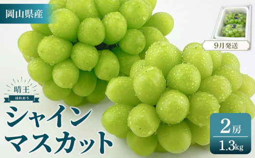 
                  2026年　　受付中　シャインマスカット　晴王　2房　約1.3kg　【岡山県産 種無し 皮ごと食べる みずみずしい 甘い フレッシュ 9月～10月発送 晴れの国 おかやま ぶどう 葡萄 マスカット 果物大国 彩美菜果 岡山県 岡山市 おすすめ 人気】
                