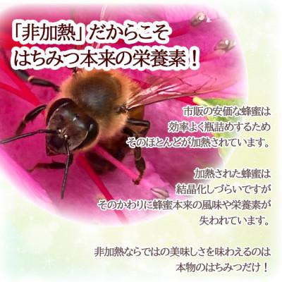 ふるさと納税 東久留米市 【東京都東久留米市】百花純粋生はちみつ 非加熱 140g×3本 野島養蜂場 |  | 02