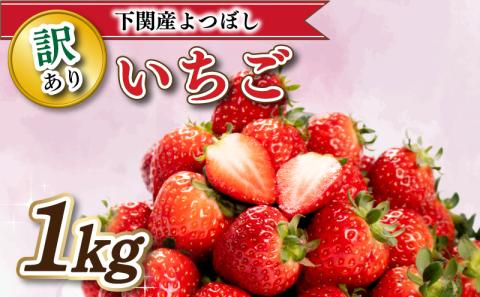 【 4月お届け 】 訳あり いちご よつぼし 1kg 冷蔵 下関 山口