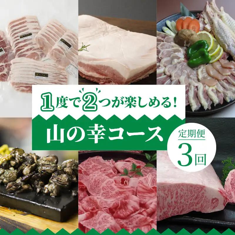 S999-T07_【定期便3回】1度で2つが楽しめる！山の幸コース