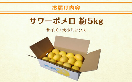 サワーポメロ約5kg 長与町/溝上農園[EBY004]フルーツ 柑橘