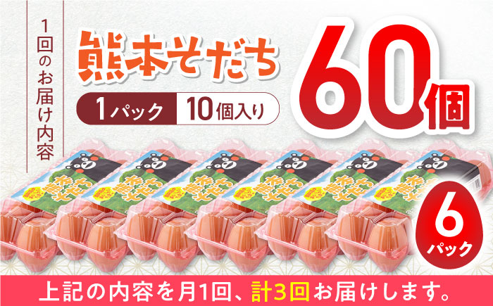 【全3回定期便】熊本県産 熊本そだち 60個入り ( 10個入り × 6パック ) 山都町 たまご 卵【蘇陽農場】 [YBE034]