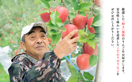 【レビューキャンペーン】年明け 贈答用 広船のサンふじ王林詰合せ約5kg・特A16～20玉 [hi-0004-007]