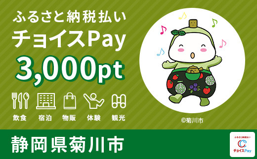 
            菊川市チョイスPay 3,000pt(1pt＝1円) 【会員限定のお礼の品】
          