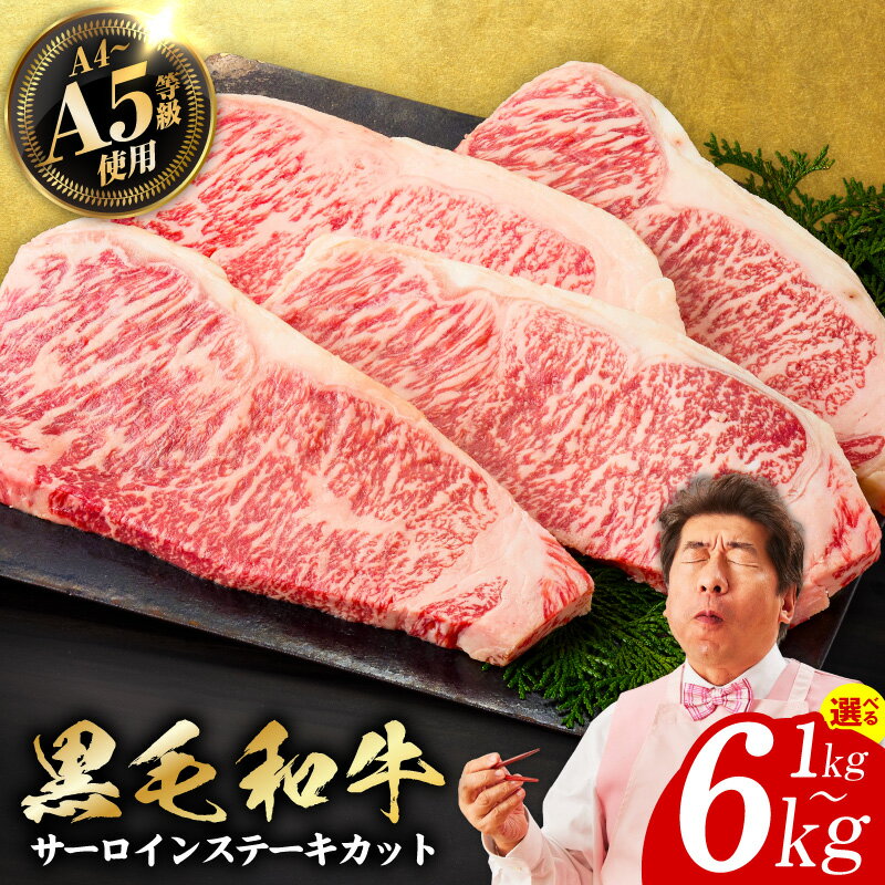【ふるさと納税】A5/A4等級 黒毛和牛 サーロインステーキ カット 極味付け肉 国産 1パック 250g 選べる 1kg 4P / 2kg 8P / 4kg 16P / 6kg 24P 牛肉 サーロイン ステーキ ステーキ肉 お肉 冷凍 お取り寄せ お取り寄せグルメ 大阪府 泉佐野市 送料無料