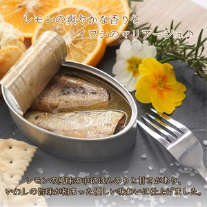 【B0-185】缶詰工場直送 「旬ほとぎ」イワシ塩レモン12缶 いわし イワシ 鰯 缶詰 イワシ缶 いわし缶 鰯缶  ご飯のお供 保存食
