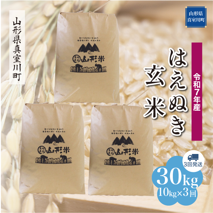 ＜令和7年産米＞ はえぬき 【玄米】30kg 定期便 (10kg×3回) 　配送時期指定できます！ 山形県真室川町