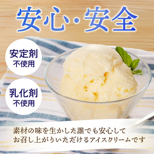 清泉寮有機ジャージー牛乳からアイスクリームセット(120ml×12)
