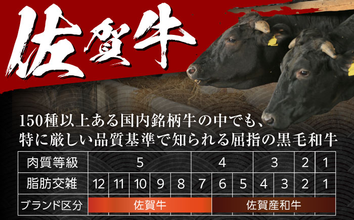【全6回定期便】佐賀牛切り落とし 計3kg（500g×6回）/ 牛肉 / 佐賀県 / 株式会社中山牧場 [41AOCW021]