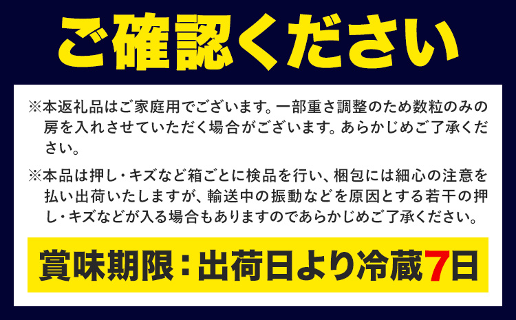 【先行予約】ぶどう ご家庭用 旬 の ぶどう 2種セット おまかせ2種 合計約2kg たけまさぶどう園 《8月中旬-10月中旬頃出荷》岡山県 浅口市 フルーツ デザート おやつ マスカット ぶどう 果