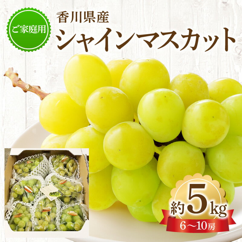 【ふるさと納税】ご家庭用 シャインマスカット 約5kg 【2026-8月下旬～2026-9月下旬配送】 | シャイン マスカット ぶどう 果物 フルーツ デザート スイーツ 産地直送 皮ごと 人気 お裾分け おすすめ お取り寄せ
