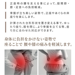自動車シートメーカーが追求した最幸の座り心地　正座・あぐら用クッション「腰座」(色・サイズ選択)[023M05]